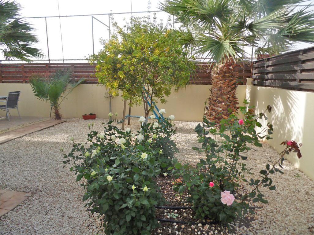 Villa Favor - 3 Bed With Pool Close To Nissi Beach Ajía Nápa Eksteriør bilde